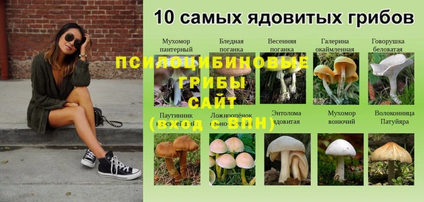 герыч Гусь-Хрустальный